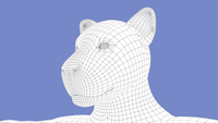 Tabaxi-Model Head1